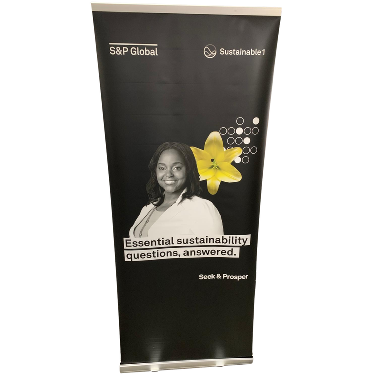 Banner:  Seek and Prosper - Essential Sustainability