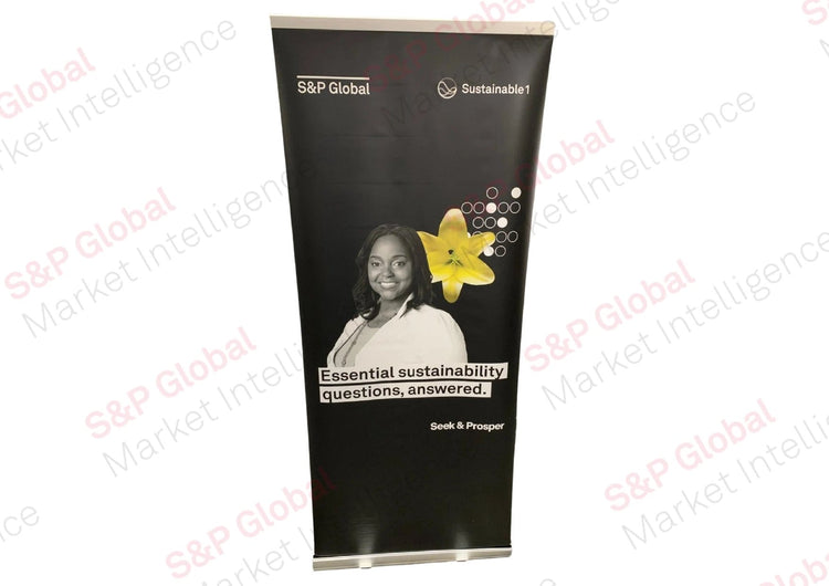 Banner: Seek and Prosper - Essential Sustainability (B)